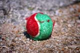 IMG_6884 copy