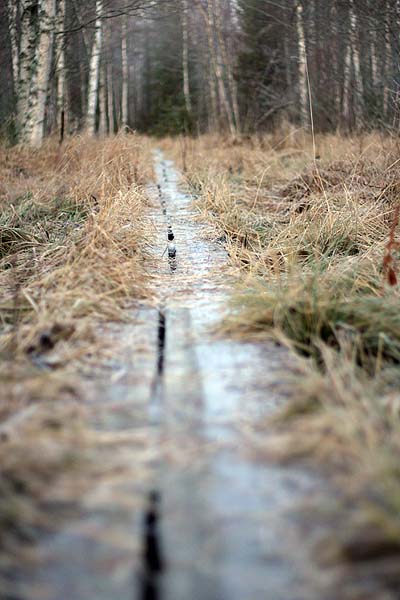 Pitkospuut. Joku oli ajanut jäisiä puita pitkin pyörällä. Välillä oli tekemistä, että pysyi kenkien kanssa pystyssä
