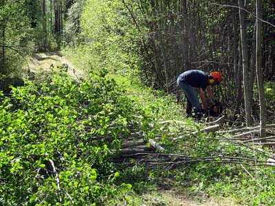 Metsämies