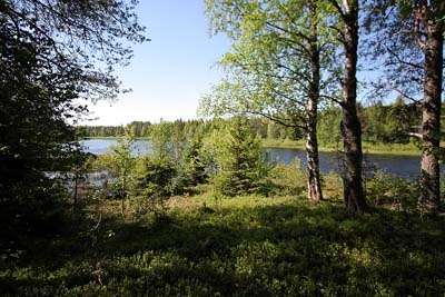 Saunan paikka