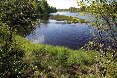 Laituri tohon ja uimaan