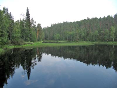 Peilikuvaa