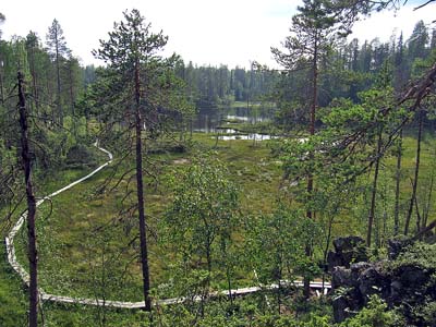 Pitkospuut