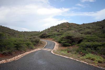 Aruban luonnonpuistossa